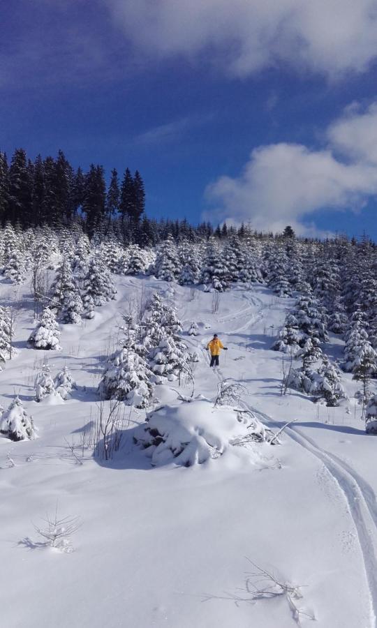 Haus Voellegg Lägenhet Vollegg Exteriör bild