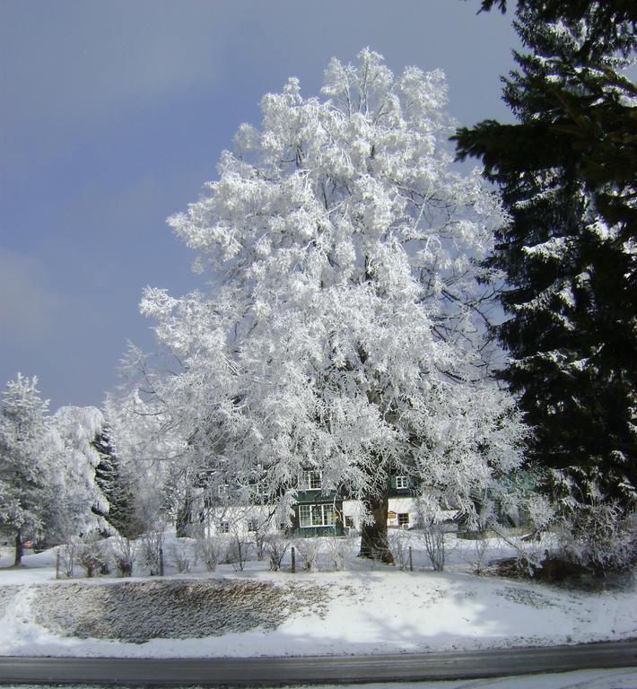 Haus Voellegg Lägenhet Vollegg Exteriör bild